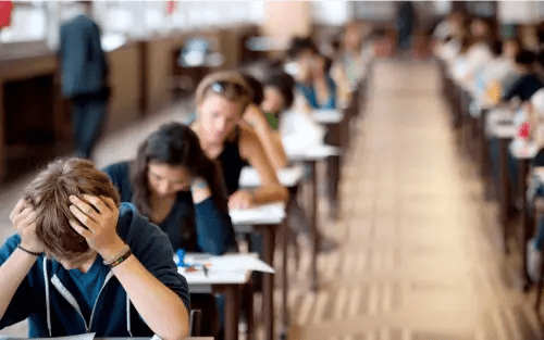 Examens et révisions : comment booster concentration, mémoire et énergie naturellement - Pectino : Les vitamines et les minéraux