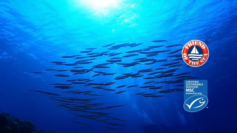 Le collagène Naticol® : une forme premium pour une efficacité optimale - Pectino : Les vitamines et les minéraux