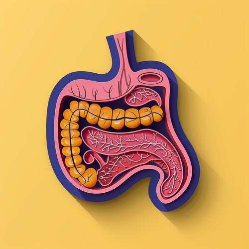 Problèmes de Digestion : Quand le Ventre Affecte le Moral - Pectino : Les vitamines et les minéraux